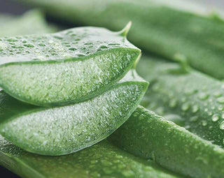 Ahhhsome Relief After Sun Body Mousse - Annie Jack TX