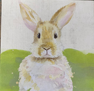Watercolor Bunny Canvas - Annie Jack TX