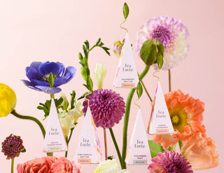 Tea Forte Petitie Presentation Box Mariposa - Annie Jack TX