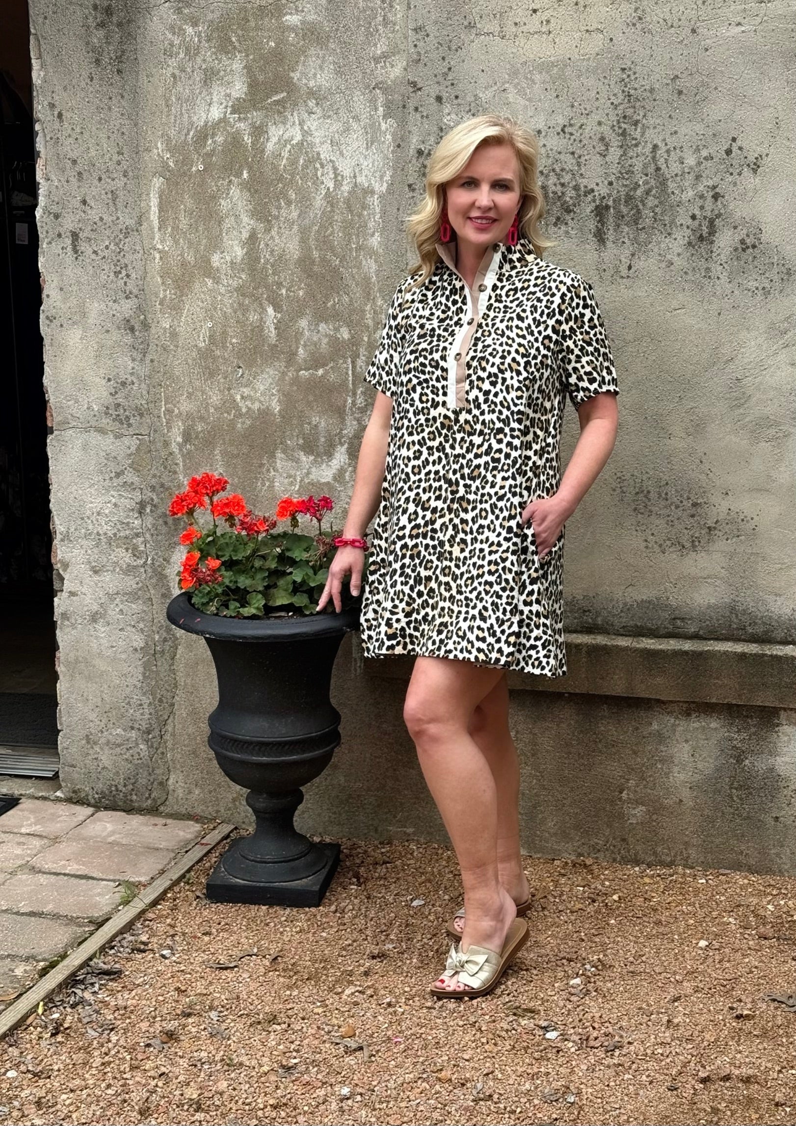 Short Sleeve Cheetah Dress - Annie Jack TX