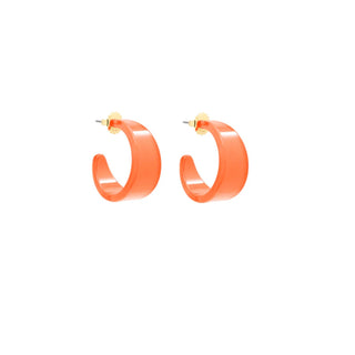 Small Chunky Resin Hoop Earring - Annie Jack TX