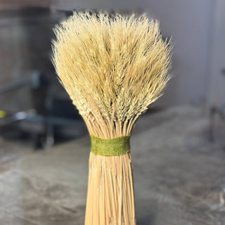 Dried Standing Wheat Bundle - Annie Jack TX
