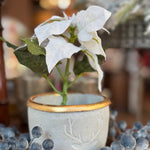 Potted  Small White Poinsettia - Annie Jack TX