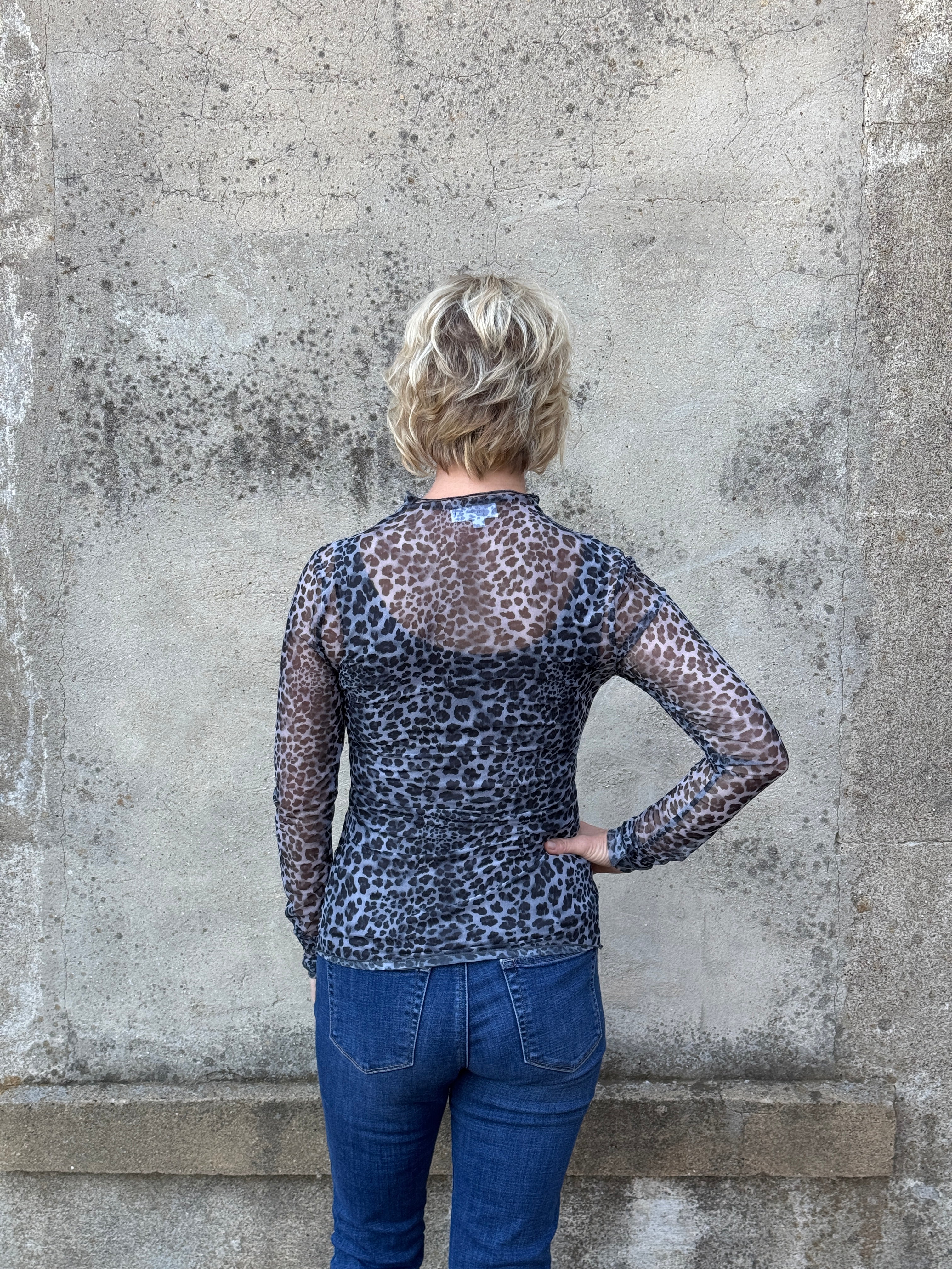 Sheer Leopard Print Long Sleeve Top - Annie Jack TX